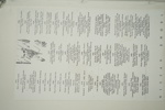 43822d_8dcc1100eddfbf7_sm.jpeg