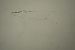 50189d_8dd50198f390ee0_sm.jpeg