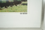 53018f_8dd8e1acea473f4_sm.jpeg