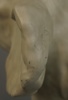 54100e_8dda8016debb904_sm.jpeg