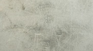 54230d_8dda9a7d4c8f520_sm.jpeg