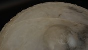 55032g_8ddbd342ecaa777_sm.jpeg