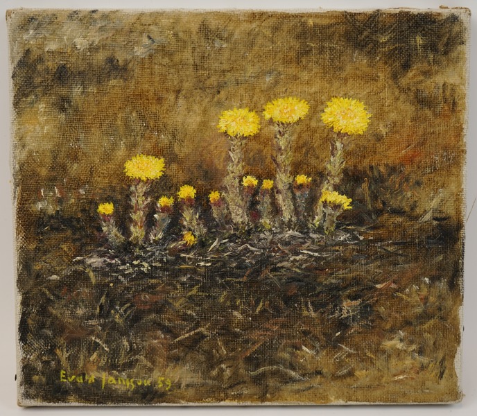 Eva T Jansson, ''Tusselago'', olja på duk, signerad, daterad 1959.