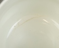 55363d_8ddd4137cf7783a_sm.jpeg