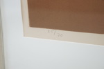 55447b_8ddd5097f0fca25_sm.jpeg