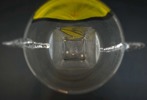 Ulrica Hydman Vallien, vas, glas, Kosta Boda, signerad.