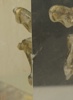 55523f_8ddd6512998ce86_sm.jpeg