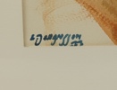 55548b_8ddd66c9ea5ad6e_sm.jpeg