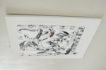 55635c_8ddd9b0657cd069_sm.jpeg