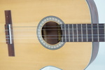 Gitarr, Landola, med golvställ.