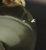 55883f_8dddf0d09351a33_sm.jpeg