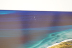 56192d_8dde549fae38ec5_sm.jpeg