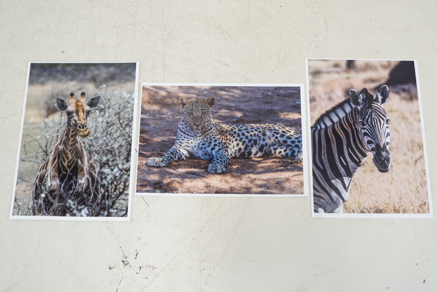 Leif Gustafsson, "Afrika", fotografier, 3 st.