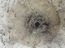 56316d_8dde6eb406733bb_sm.jpeg