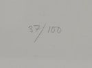 56339d_8dde9350779c4fb_sm.jpeg