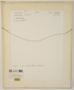 Siw Friberg, ''Carmen II'', akvarell och tusch, signerad,  daterad 1996.