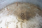 Kopparbalja.