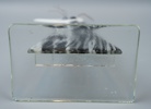 Emma P. Dahl, skulptur, glas, signerad.