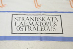 Maria Åström, tygtryck, monogramsignerad i trycket.