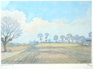 Harald Thelander, tryck, 4 st, numrerade 266/300, signerade, daterade 1975.