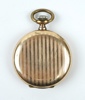 Fickur, Omega, 1900-tal.