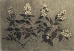 Gunnar Norrman, grafiskt tryck, signerad, daterad 1952.