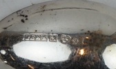 Moccaskedar, 12 st, silver, "Svenska Floran", Gewe.