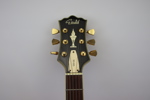 Elgitarr, Gould GS135.