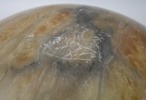 Takplafond, alabaster.