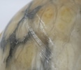 Takplafond, alabaster.
