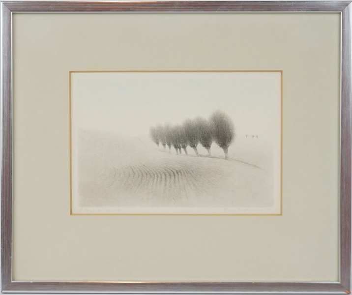 Carin Backmarck, litografi nr 100/240, signerad, daterad -78.