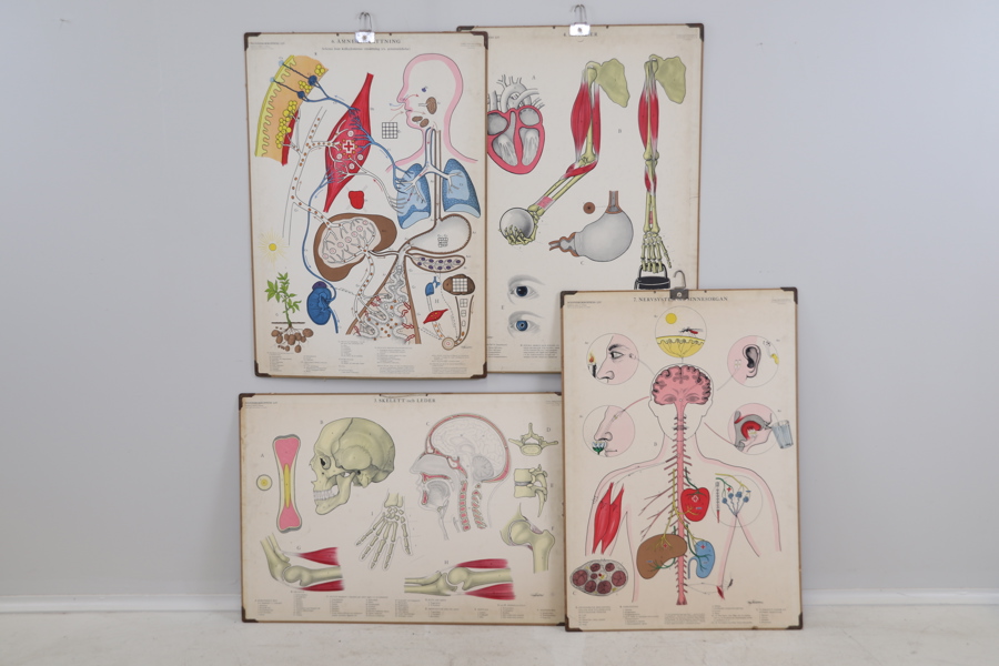 Skolplanscher, 4 st.