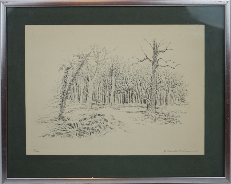 Helge Lundström, litografi 112/300, signerad, daterad -71.