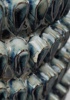 Vas, keramik, ''Mussle'', ByOn.