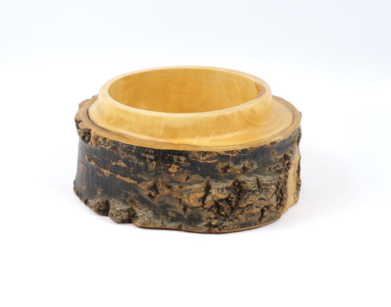 Skål, gråpoppel, Söwe-Konst, Sövestad.