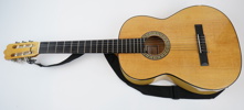 Akustisk gitarr, Reno Guitars SCG-v191.
