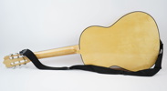 Akustisk gitarr, Reno Guitars SCG-v191.