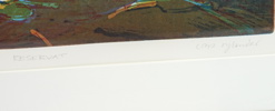 Lars Rylander, ''Reservat'', litografi nr 5/90, signerad.