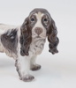 Dahl Jensen, figurin, cockerspaniel, porslin, Danmark.