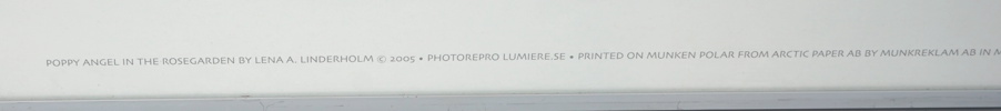 Lena A Linderholm, ''Poppy Angel in Rosegarden'', affisch, signerad.
