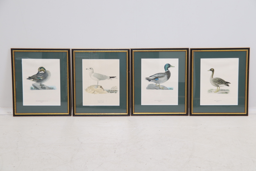 Tryck, 4 st, fåglar.