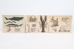 Skolplanscher, 3 st, Dybdahls Zoologiske plancher.