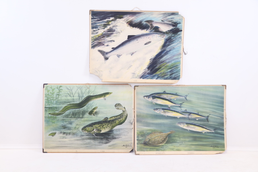 Skolplanscher, 3 st, "Bilder på Svenska Djur", P.A. Norstedt & Söner.