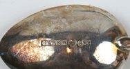 Moccaskedar, 12 st, silver, ''Svenska floran''.