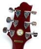 Elgitarr, Greg Bennett Torino TR-1.