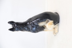 Skulptur, hund, keramik.