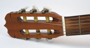 Akustisk gitarr, Cort AC70.