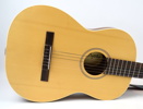 Akustisk gitarr, Rebecka, Bjärton.