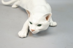 Carl Frederik Liisberg, figurin, katt, porslin, Royal Copenhagen.