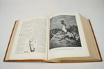 Dorés Illustrerade Familjebibel, numrerad 1437/3900, Stockholm 1957.